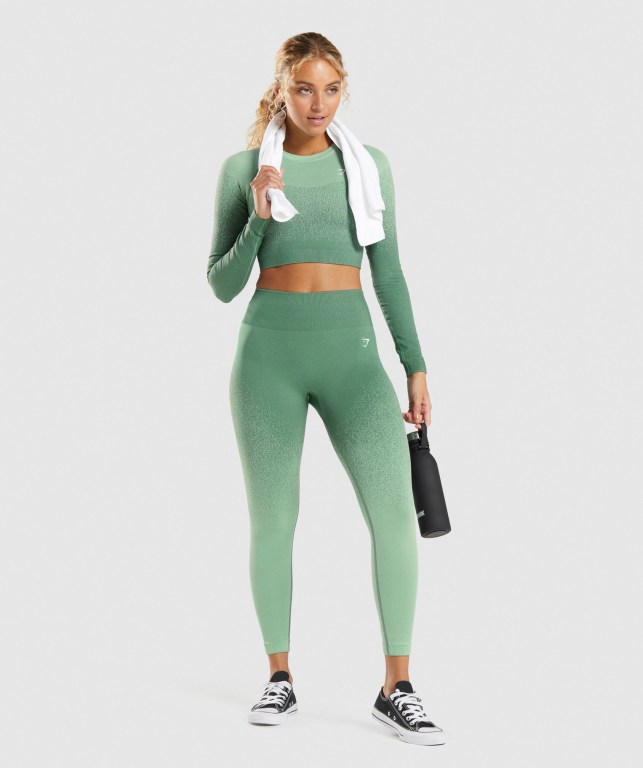 Gymshark Adapt Ombre Seamless High Waisted Women's Leggings Green / Light Green | UAE-75JXWE