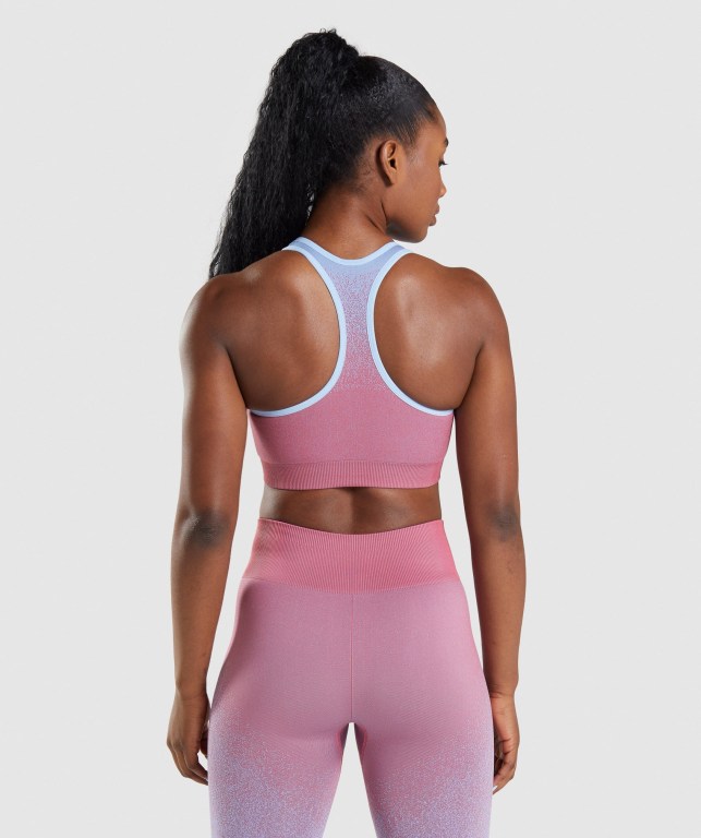 Gymshark Adapt Ombre Seamless Women's Sports Bra Rose Pink / Light Blue | UAE-95YQXS