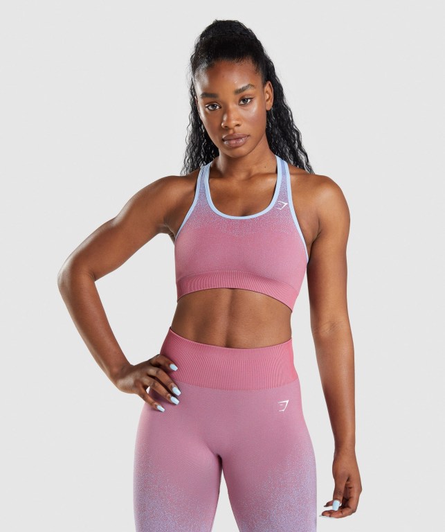 Gymshark Adapt Ombre Seamless Women\'s Sports Bra Rose Pink / Light Blue | UAE-95YQXS