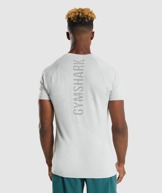 Gymshark Apex Perform Men's T Shirts Light Grey / Grey | UAE-28KMQT