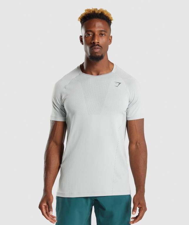 Gymshark Apex Perform Men\'s T Shirts Light Grey / Grey | UAE-28KMQT