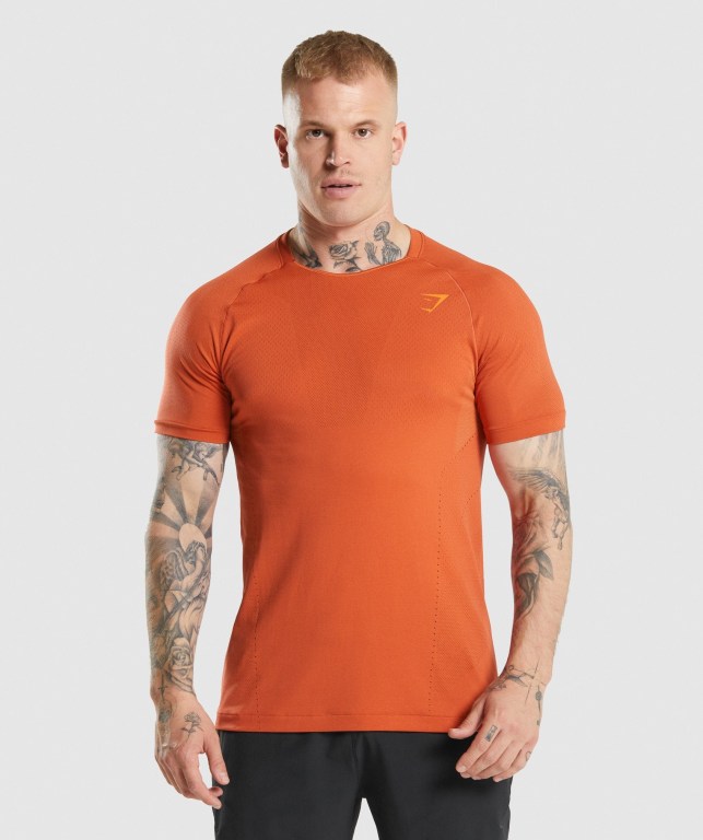 Gymshark Apex Perform Men\'s T Shirts Red | UAE-57WPVO