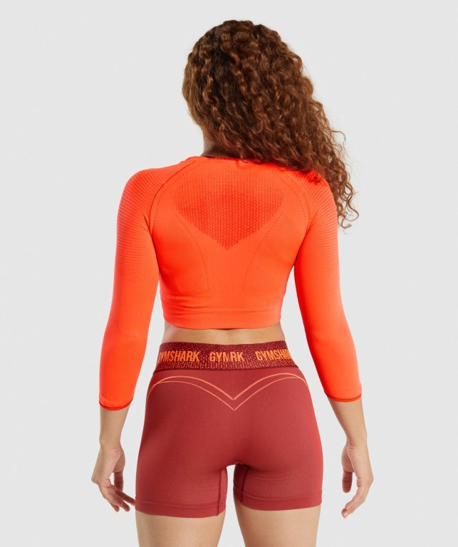 Gymshark Apex Seamless Crop Top Women's T Shirts Orange | UAE-06ZNRO