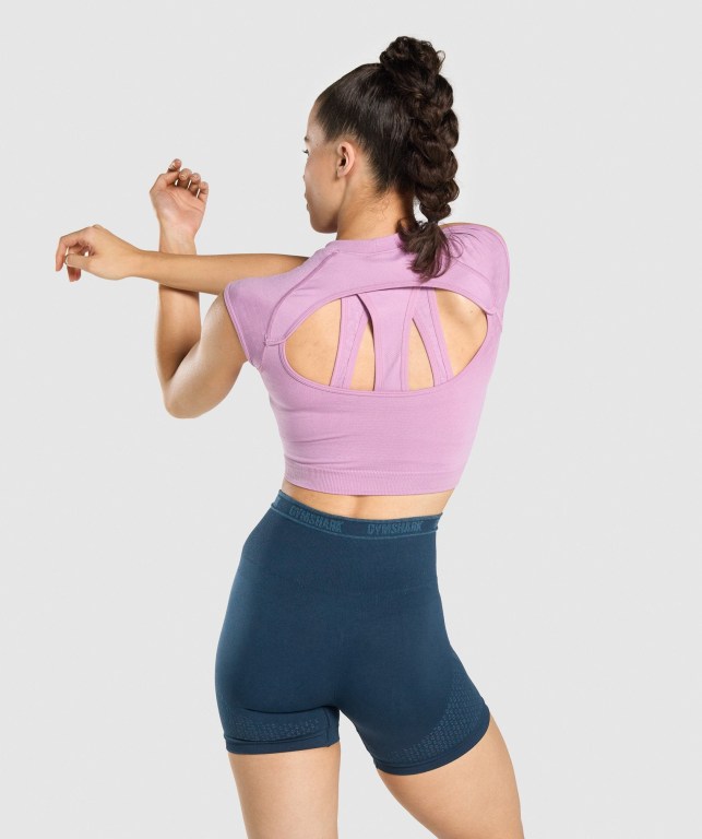 Gymshark Apex Seamless Crop Top Women's T Shirts Purple / Light Purple | UAE-18CQYV