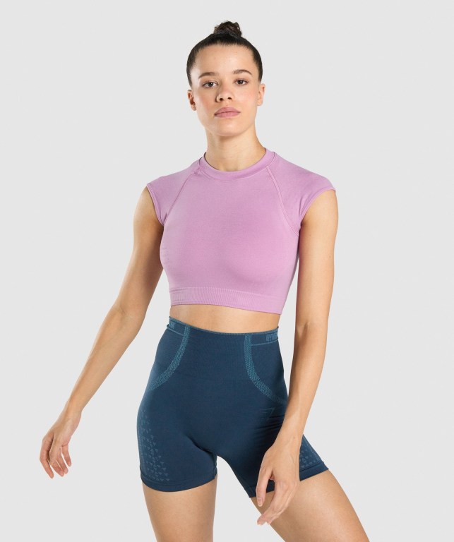 Gymshark Apex Seamless Crop Top Women\'s T Shirts Purple / Light Purple | UAE-18CQYV