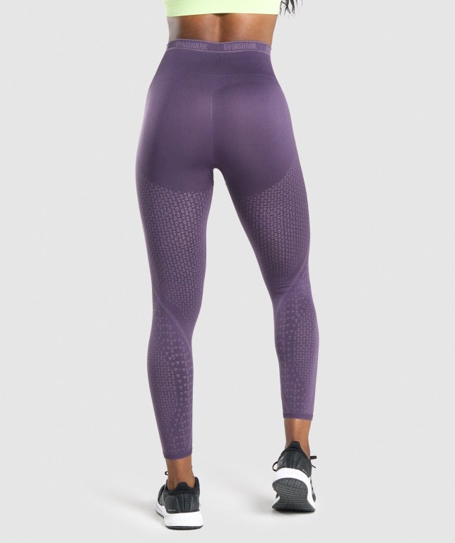 Gymshark Apex Seamless High Waisted Women's Leggings Purple / Light Purple | UAE-19PXLC