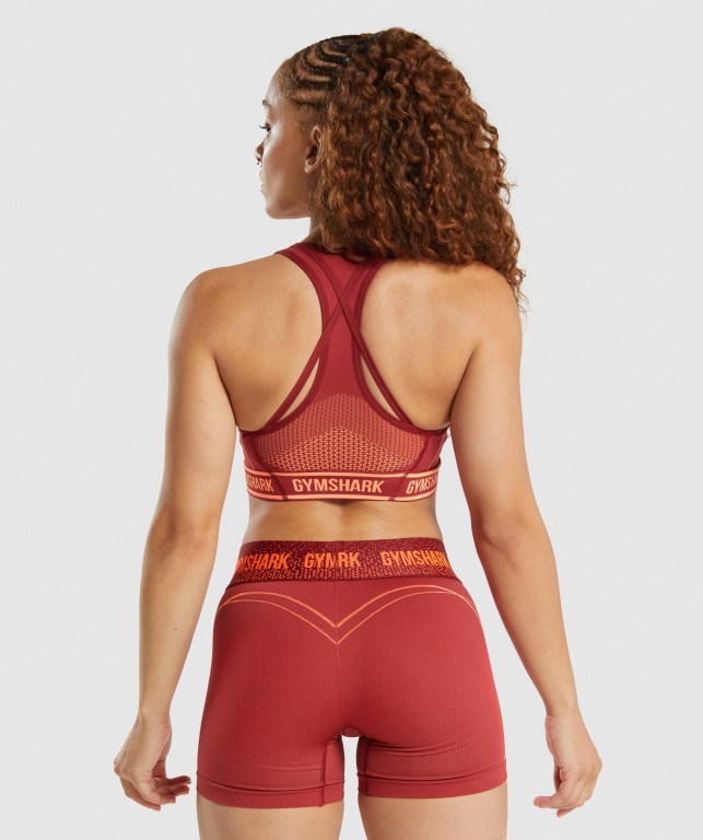 Gymshark Apex Seamless Women's Sports Bra Burgundy | UAE-49XRFO