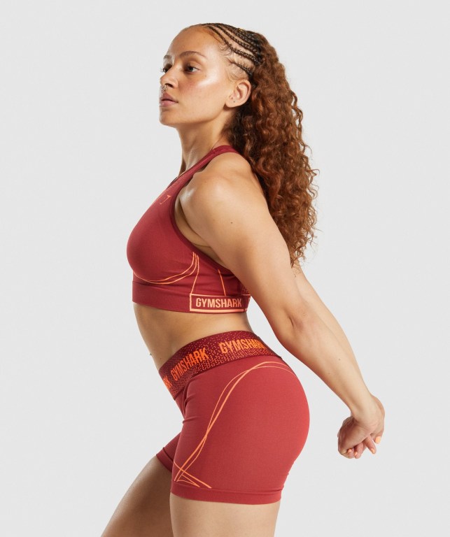 Gymshark Apex Seamless Women's Sports Bra Burgundy | UAE-49XRFO