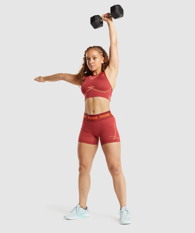 Gymshark Apex Seamless Women's Sports Bra Burgundy | UAE-49XRFO