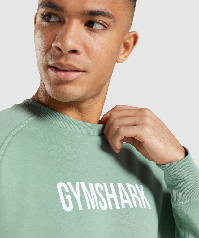 Gymshark Apollo Crew Men's Hoodies Blue | UAE-58VPWO