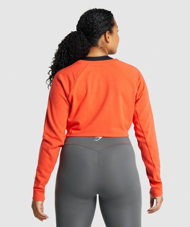 Gymshark Apollo Graphic Cropped Sweater Women's Hoodies Orange | UAE-36IKQL