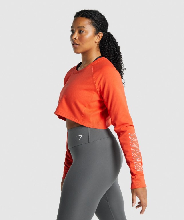 Gymshark Apollo Graphic Cropped Sweater Women's Hoodies Orange | UAE-36IKQL