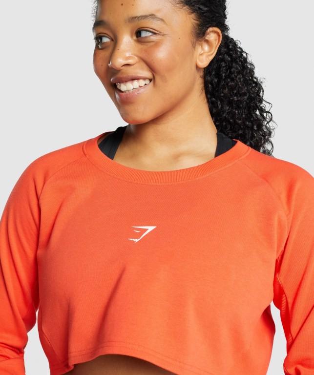 Gymshark Apollo Graphic Cropped Sweater Women's Hoodies Orange | UAE-36IKQL