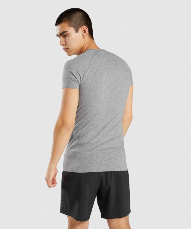 Gymshark Apollo Men's T Shirts Grey | UAE-10EGDJ