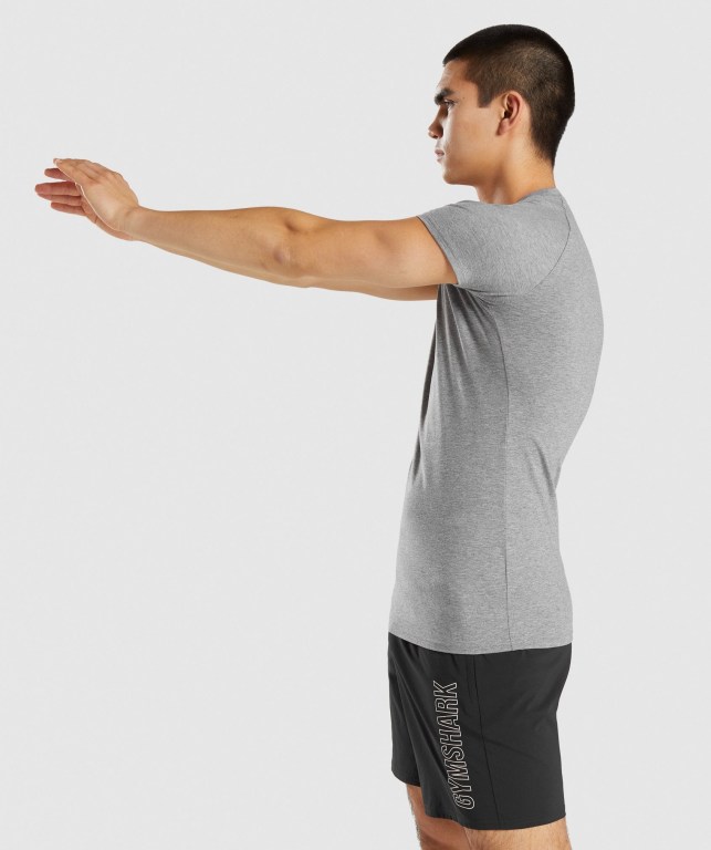 Gymshark Apollo Men's T Shirts Grey | UAE-10EGDJ