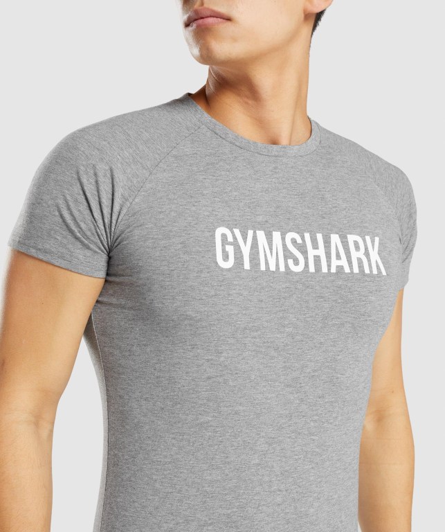 Gymshark Apollo Men's T Shirts Grey | UAE-10EGDJ