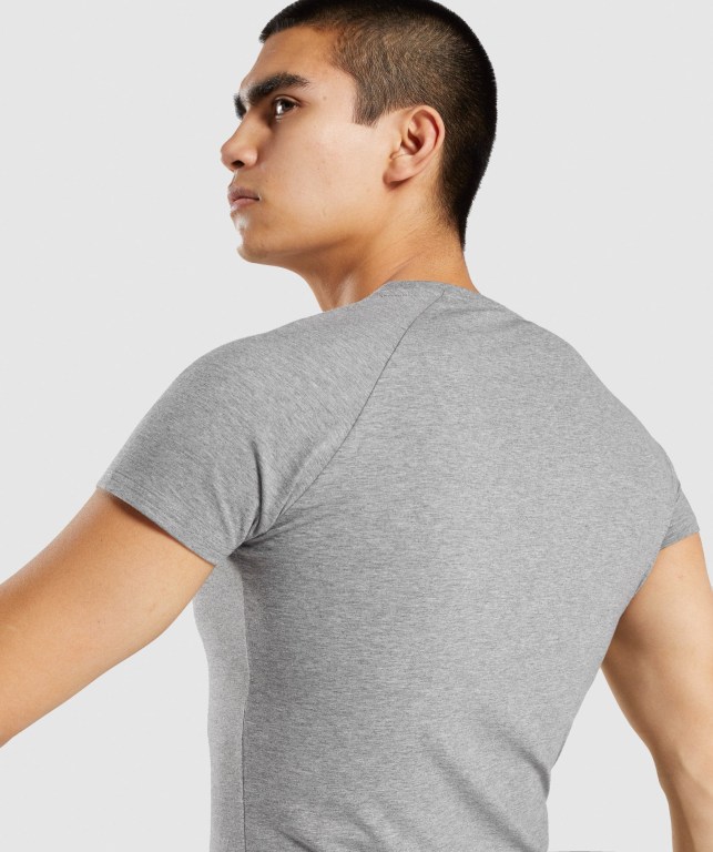 Gymshark Apollo Men's T Shirts Grey | UAE-10EGDJ