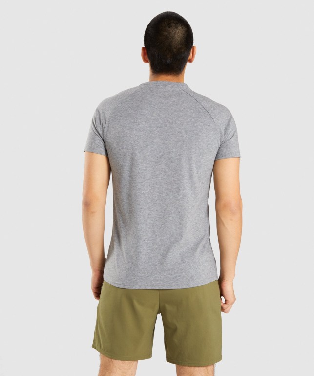 Gymshark Apollo Men's T Shirts Grey | UAE-15DXAW