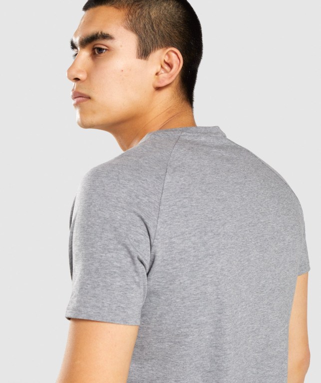 Gymshark Apollo Men's T Shirts Grey | UAE-15DXAW