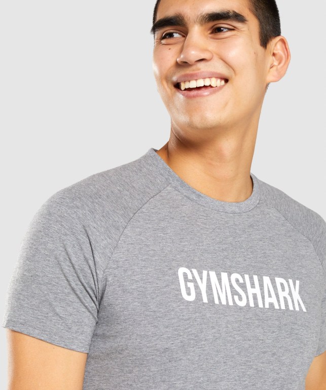 Gymshark Apollo Men's T Shirts Grey | UAE-15DXAW