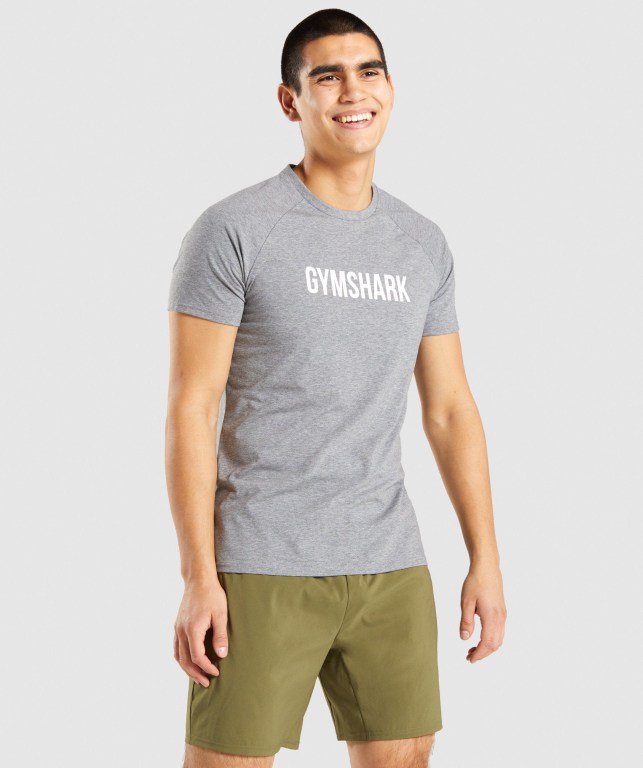 Gymshark Apollo Men\'s T Shirts Grey | UAE-15DXAW