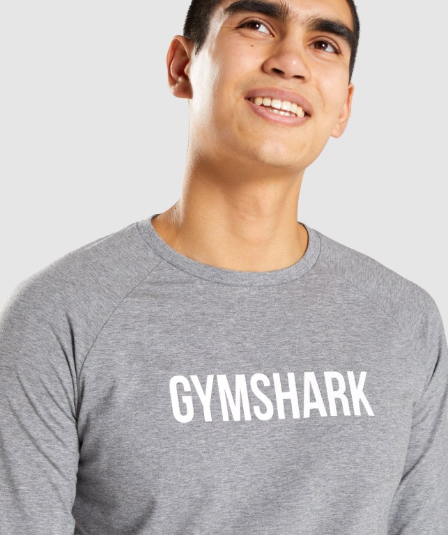 Gymshark Apollo Men's T Shirts Grey | UAE-27FWYS