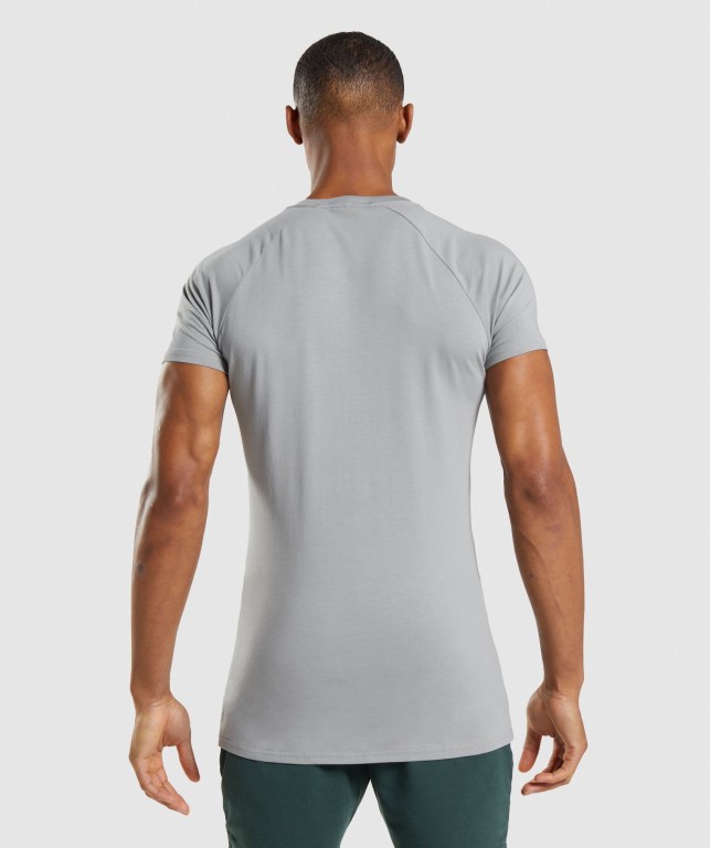 Gymshark Apollo Men's T Shirts Grey | UAE-56KESZ