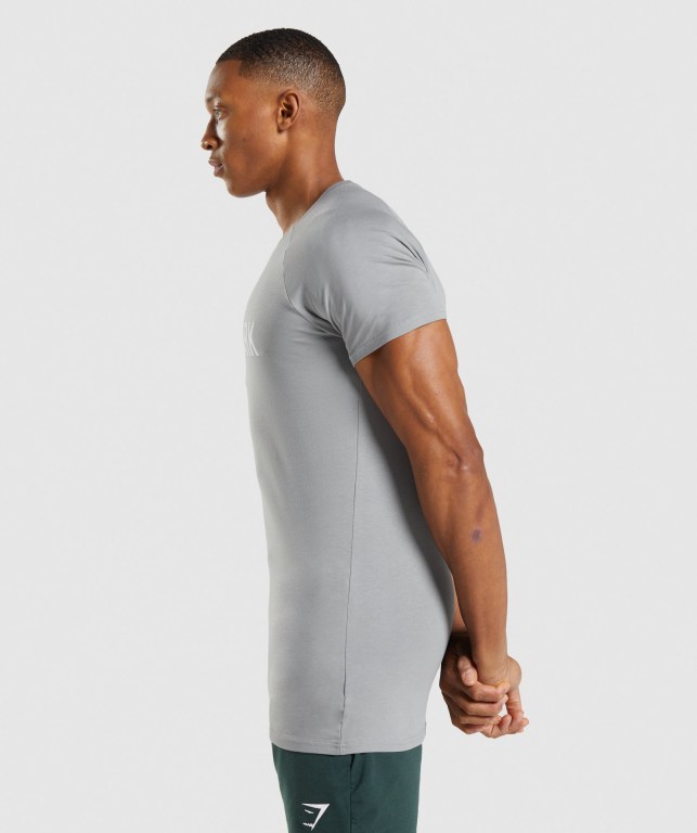 Gymshark Apollo Men's T Shirts Grey | UAE-56KESZ