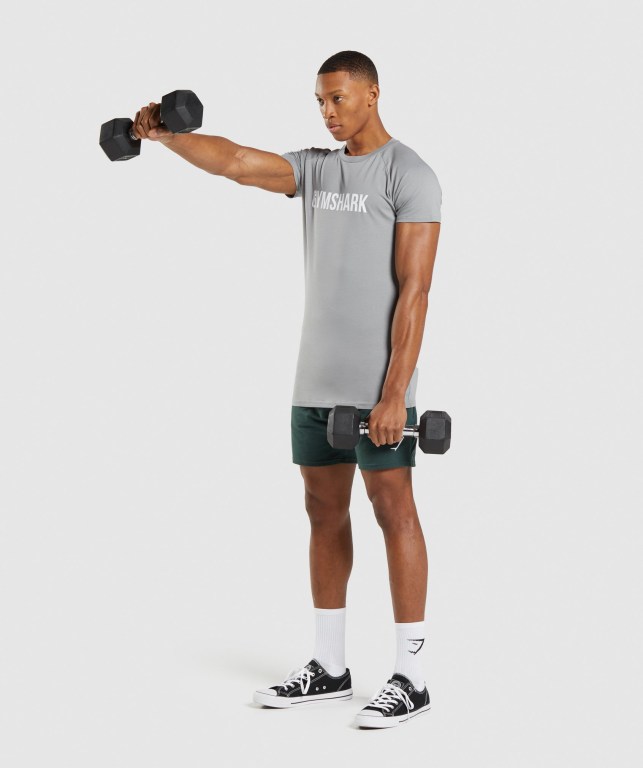 Gymshark Apollo Men's T Shirts Grey | UAE-56KESZ