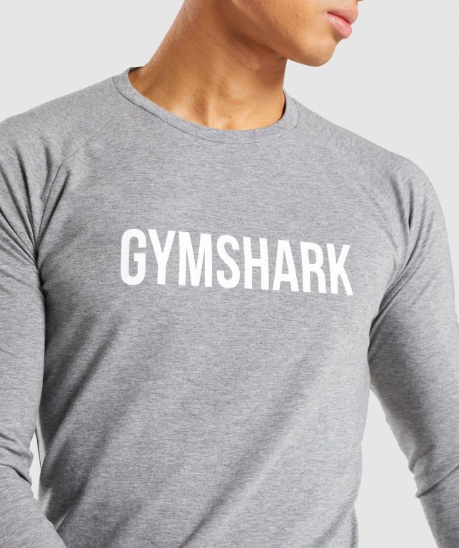 Gymshark Apollo Men's T Shirts Grey | UAE-84GDVY