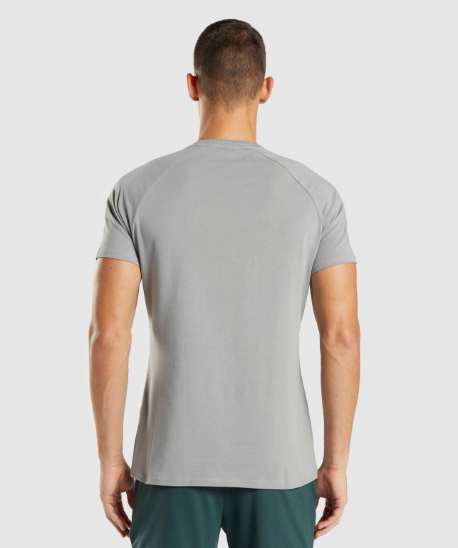 Gymshark Apollo Men's T Shirts Grey | UAE-94THCA