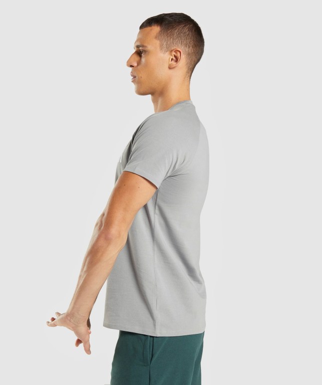 Gymshark Apollo Men's T Shirts Grey | UAE-94THCA