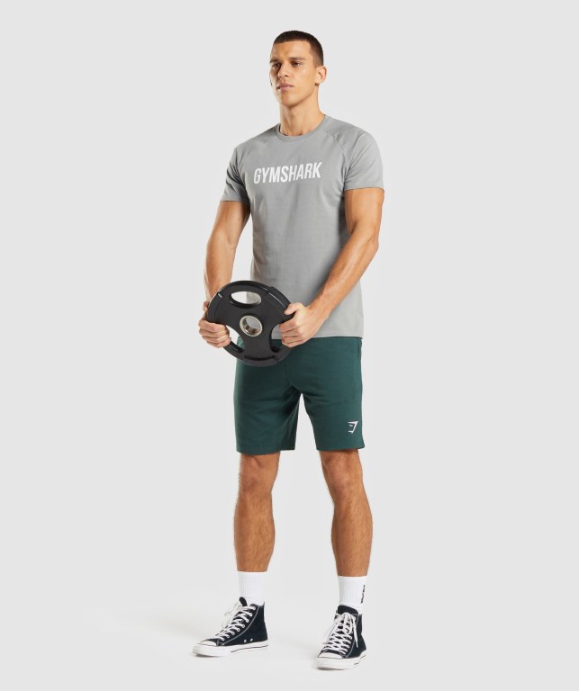 Gymshark Apollo Men's T Shirts Grey | UAE-94THCA