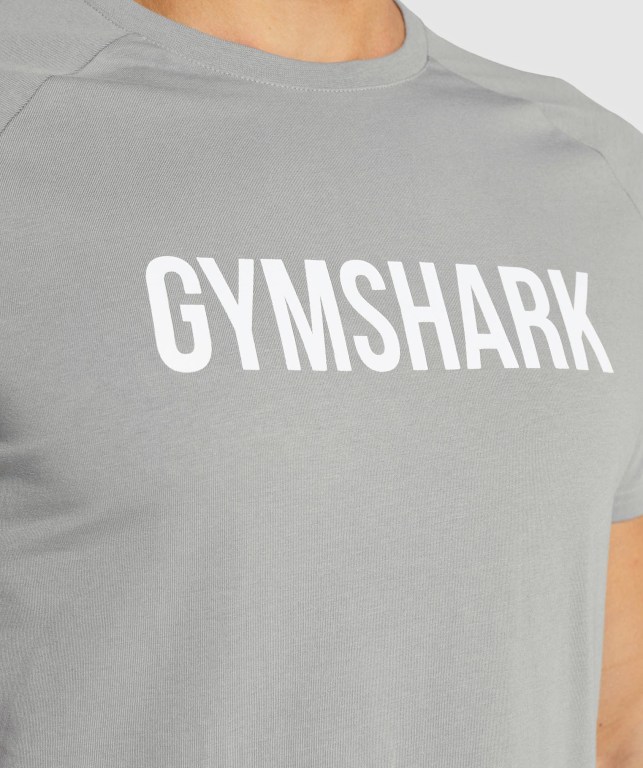 Gymshark Apollo Men's T Shirts Grey | UAE-94THCA