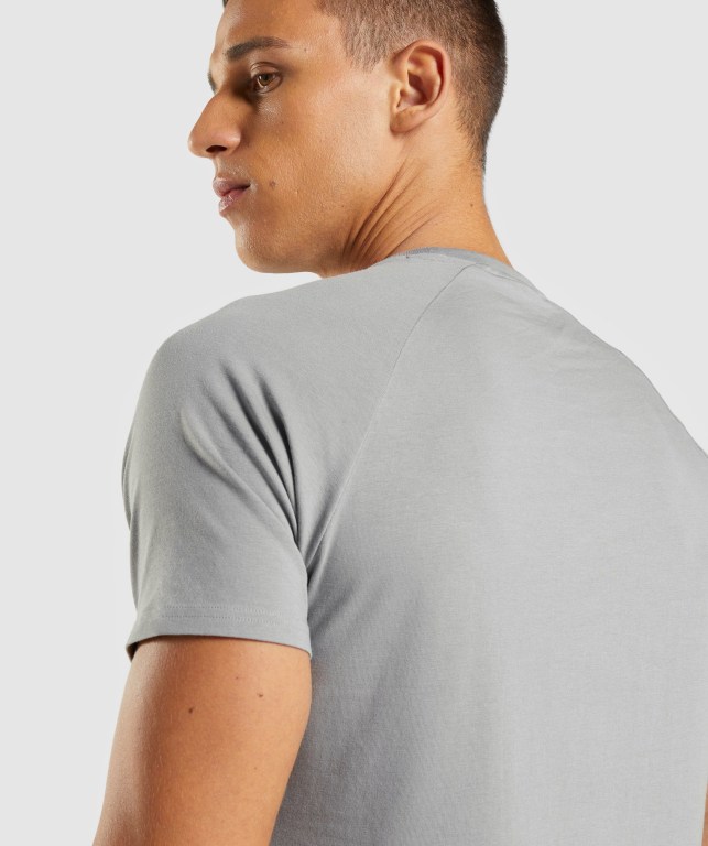 Gymshark Apollo Men's T Shirts Grey | UAE-94THCA