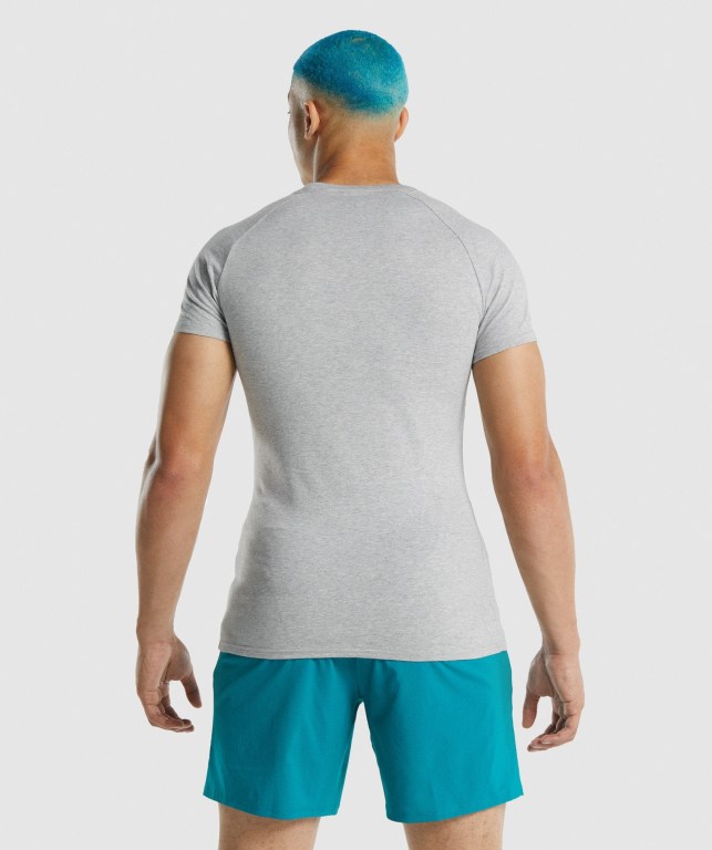 Gymshark Apollo Men's T Shirts Light Grey | UAE-46PROQ