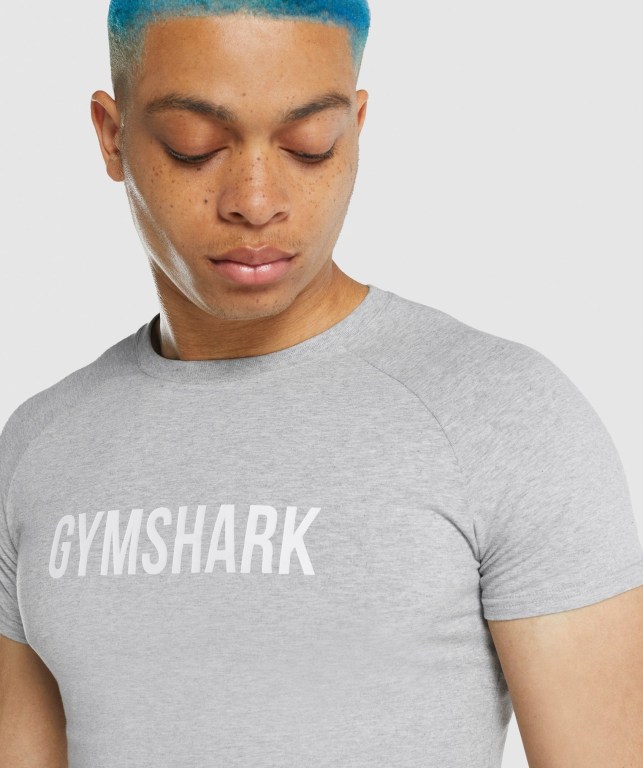 Gymshark Apollo Men's T Shirts Light Grey | UAE-46PROQ