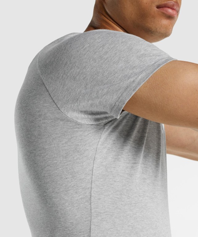 Gymshark Apollo Men's T Shirts Light Grey | UAE-46PROQ