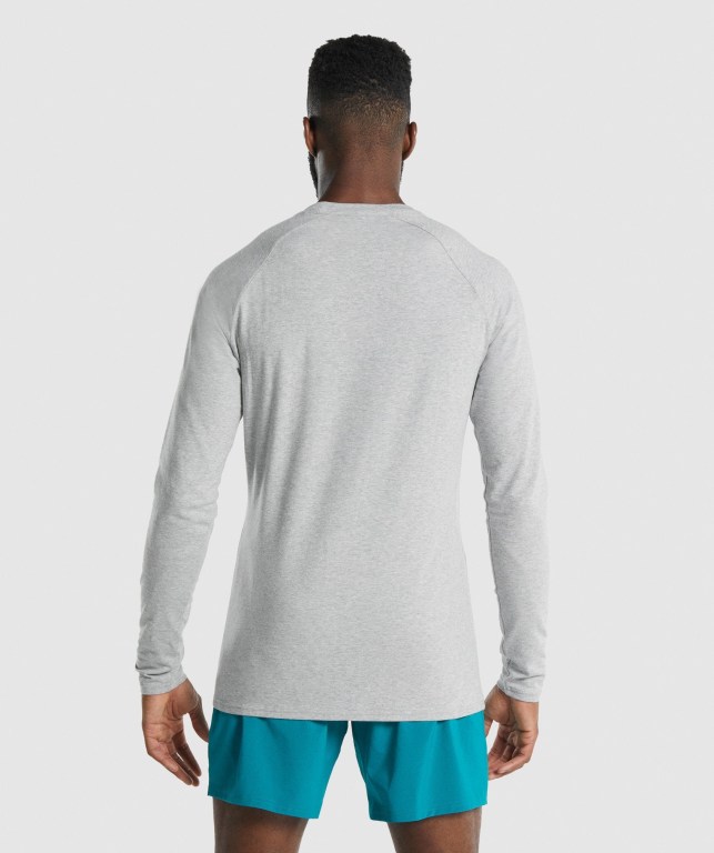 Gymshark Apollo Men's T Shirts Light Grey | UAE-83RHMZ