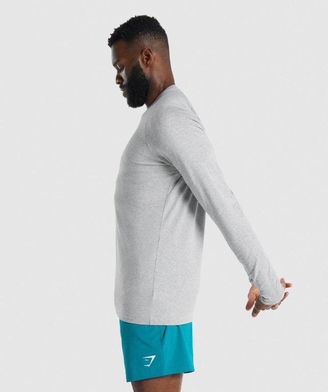 Gymshark Apollo Men's T Shirts Light Grey | UAE-83RHMZ