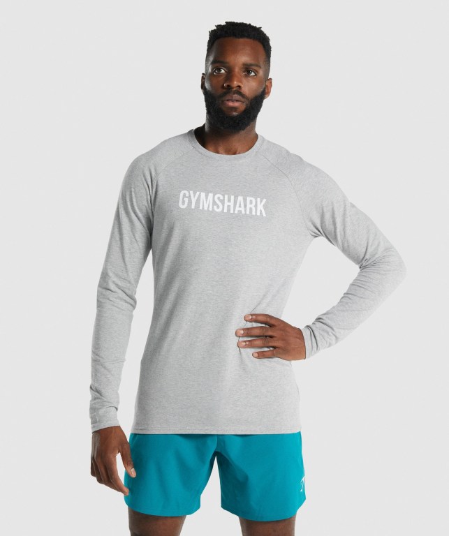 Gymshark Apollo Men\'s T Shirts Light Grey | UAE-83RHMZ