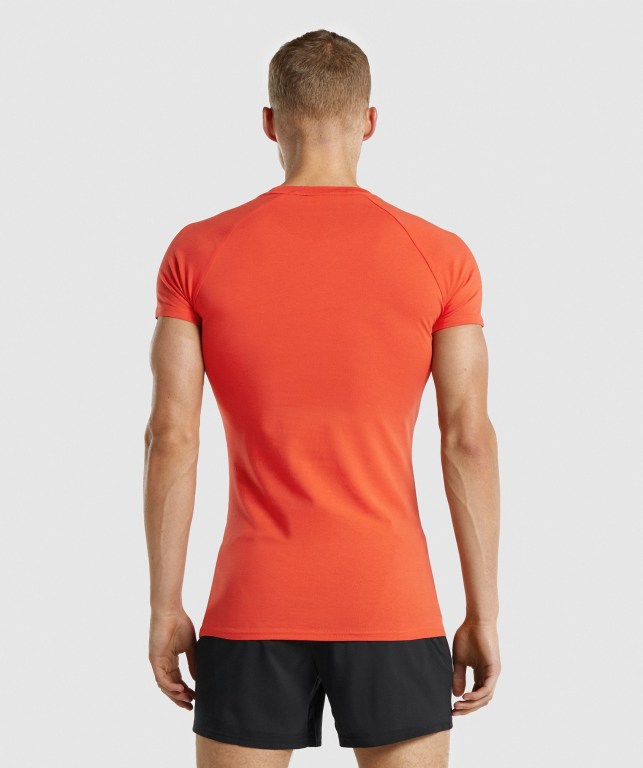 Gymshark Apollo Men's T Shirts Orange | UAE-36JYFE