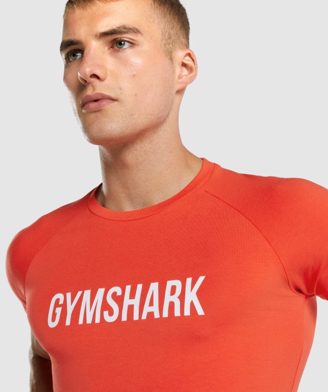 Gymshark Apollo Men's T Shirts Orange | UAE-36JYFE