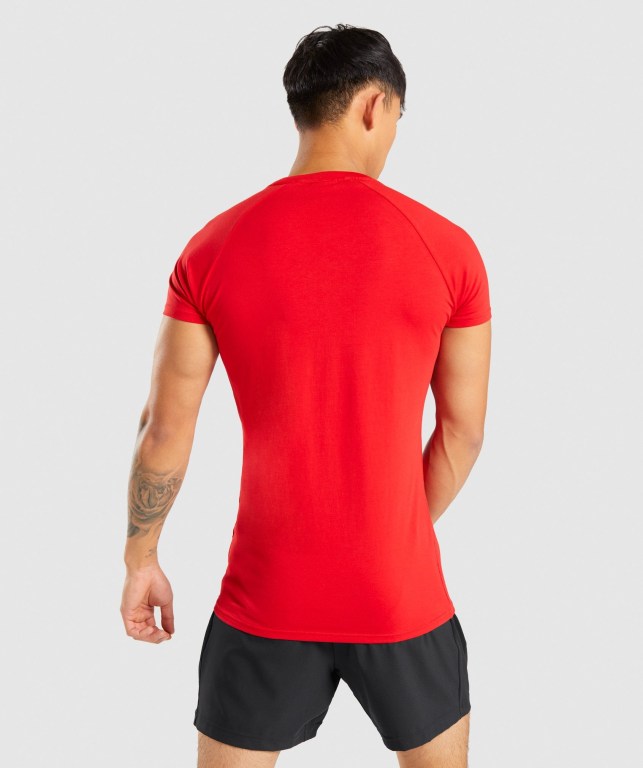 Gymshark Apollo Men's T Shirts Red | UAE-24MPXG