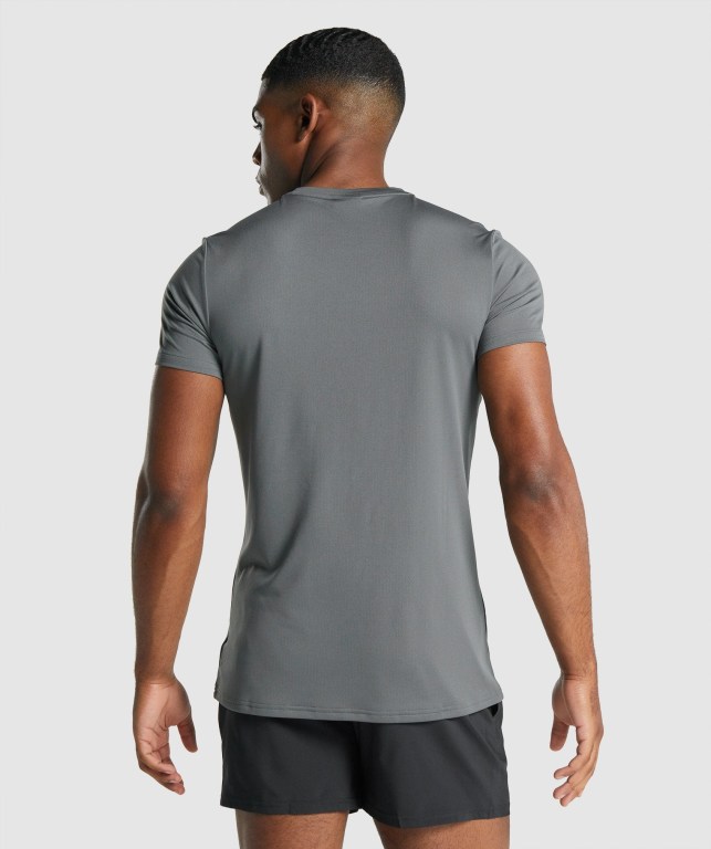 Gymshark Arrival Graphic Men's T Shirts Grey | UAE-61YQHN