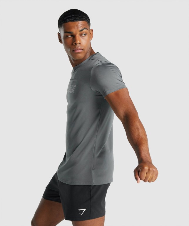 Gymshark Arrival Graphic Men's T Shirts Grey | UAE-61YQHN