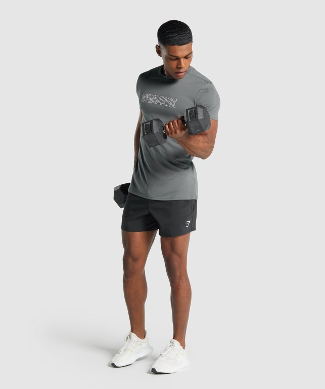 Gymshark Arrival Graphic Men's T Shirts Grey | UAE-61YQHN