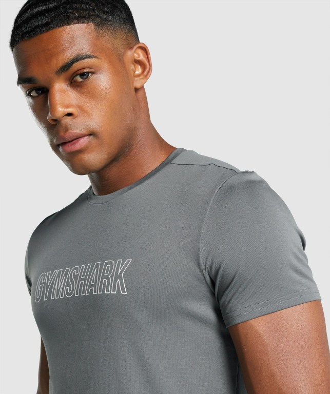 Gymshark Arrival Graphic Men's T Shirts Grey | UAE-61YQHN