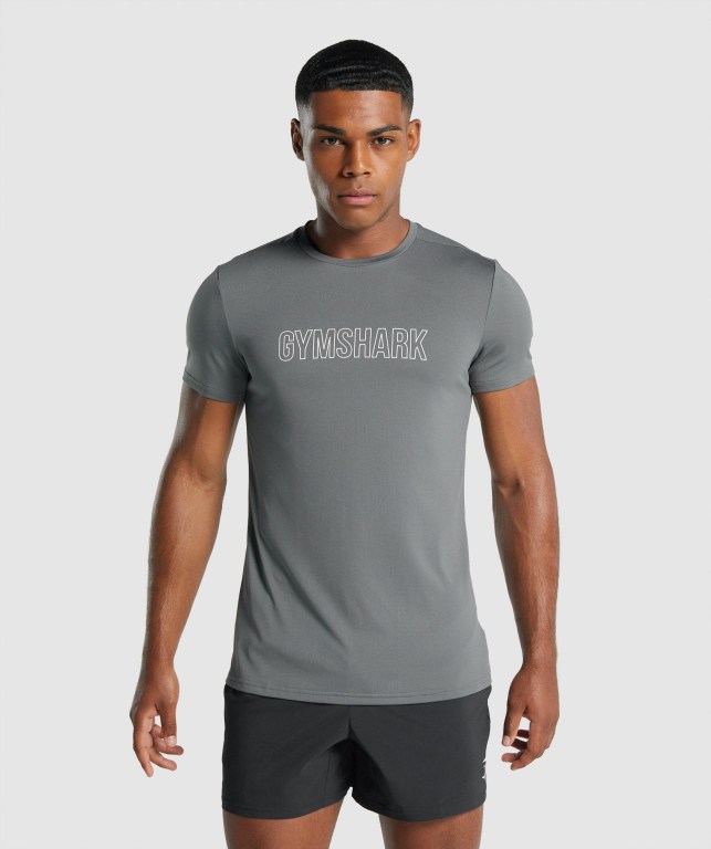 Gymshark Arrival Graphic Men\'s T Shirts Grey | UAE-61YQHN