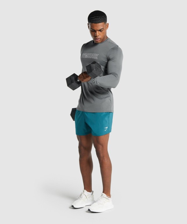 Gymshark Arrival Graphic Men's T Shirts Grey | UAE-79SJEG